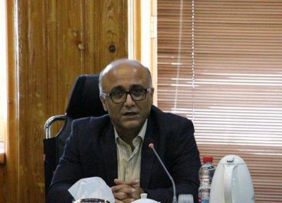 32 هزار تن گوجه از استان بوشهر به خارج از کشور صادر شد