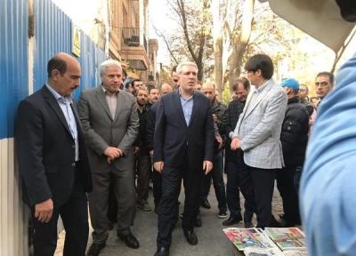 رئیس سازمان میراث فرهنگی خبر داد درخواست توقف ساخت و ساز در حریم کاخ گلستان از دادستان تهران