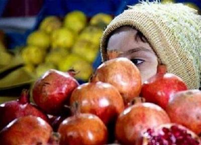 یلدای مهربانی بر 570 کودک از ایتام و محسنین شاهرود