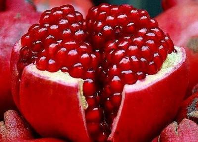 ژنوتیپ های برتر انار ایران شناسایی شدند، راه اندازی کلکسیون هسته