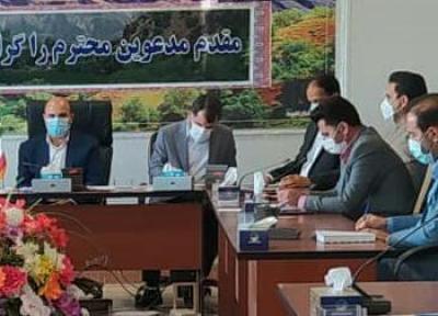 کاشت محصولات استراتژیک جایگزین کشت سیب زمینی در شهرستان دلفان